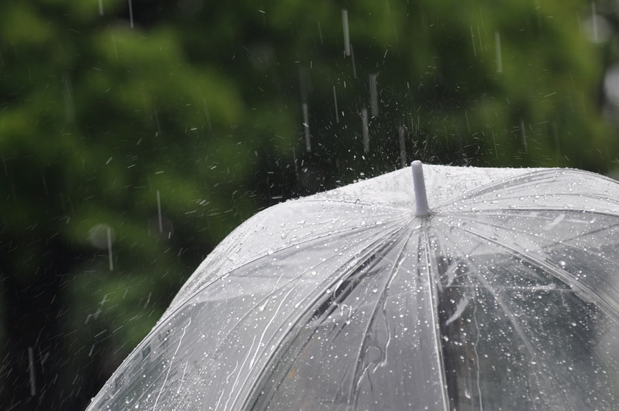 雨